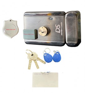 Khóa Cổng Thẻ Từ RFID DS RL02