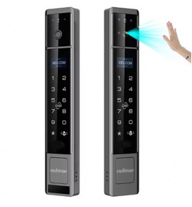 Khóa Cổng Thông Minh Face ID DG39