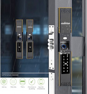 Khóa Vân Tay 2 Chiều Cửa Cổng Cao Cấp DG39