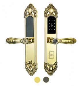Khóa Điện Tử Cổ Điển DS LD30