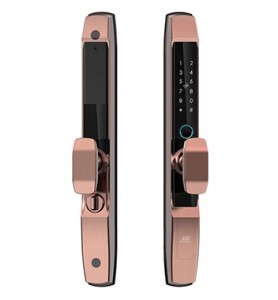 Khóa Vân Tay Cửa Lùa DS A601F