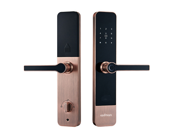 Khóa vân tay cao cấp lắp cho cửa gỗ chung cư