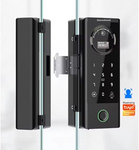 Khóa Nhận Diện Khuôn Mặt Cửa Kính DS GF1